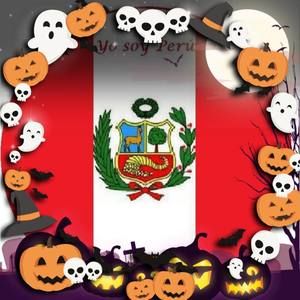 Meet your Posher, Luz